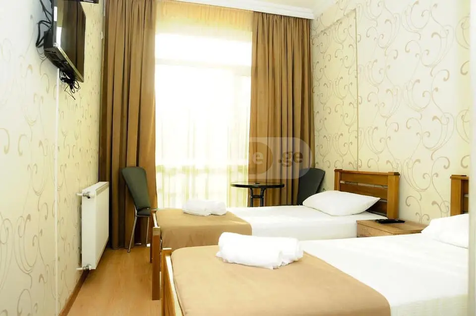 For Rent 8 Room Sastumro Borjomshi view 6
