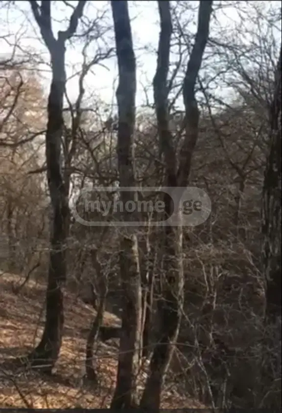 For Sale 6 Room Country House Kiketshi, 11 of 12