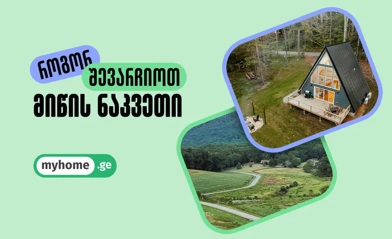 blog-image