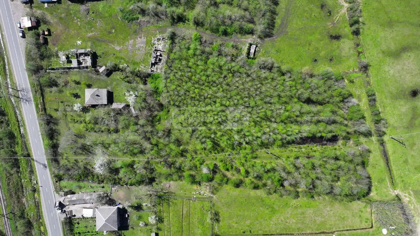 Продажа 8-комната Частный дом в Lanchkhutis Munitsipalitetshi view 6