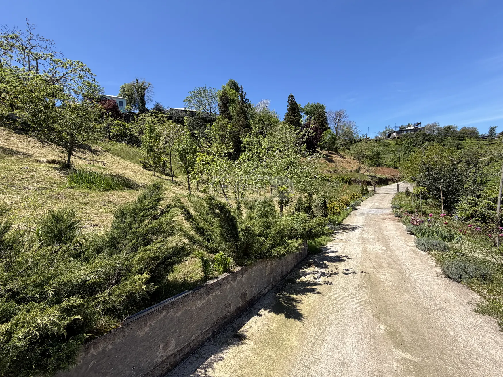 For Sale Ara Sasoplo-Sameurneo Land Plot In Batumi view 14