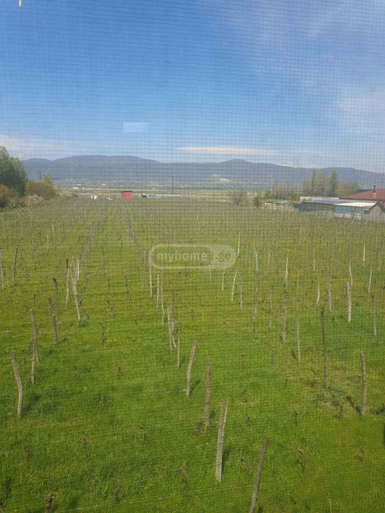 For Sale 8 Room Country House Mtskhetis Munitsipalitetshi view 16