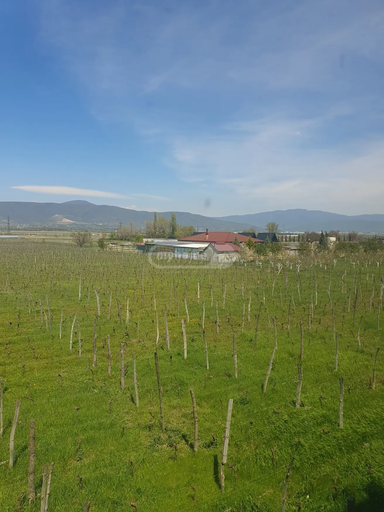 For Sale 8 Room Country House Mtskhetis Munitsipalitetshi view 15