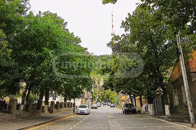 For Rent 4 Room Private House Mtatsmindaze, 2 of 10