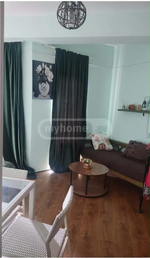 Daily Rent 1 Room Sastumro Bakurianshi, 4 of 7