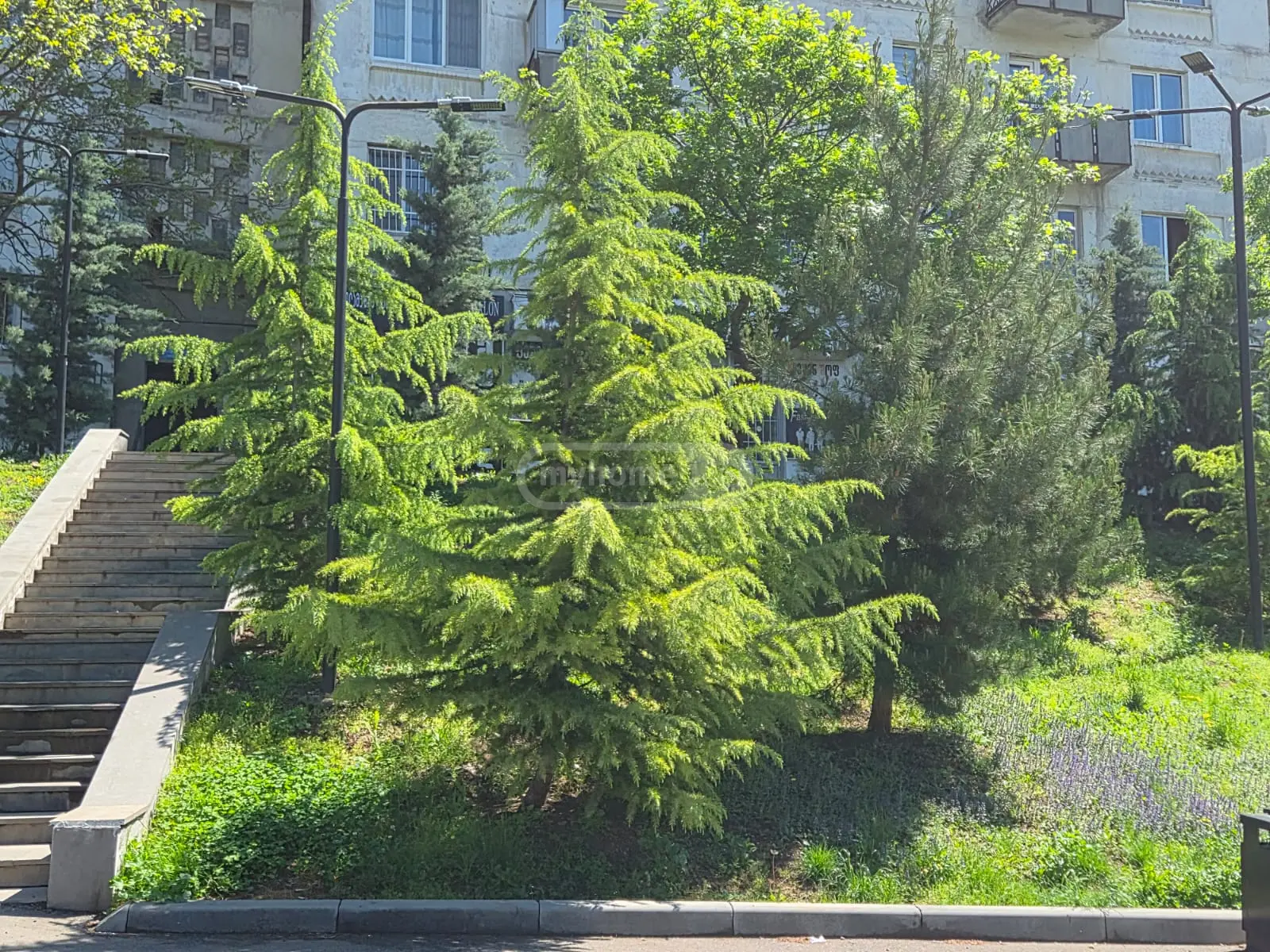 For Sale Savachro Commercial Space Varketilshi, 2 of 9