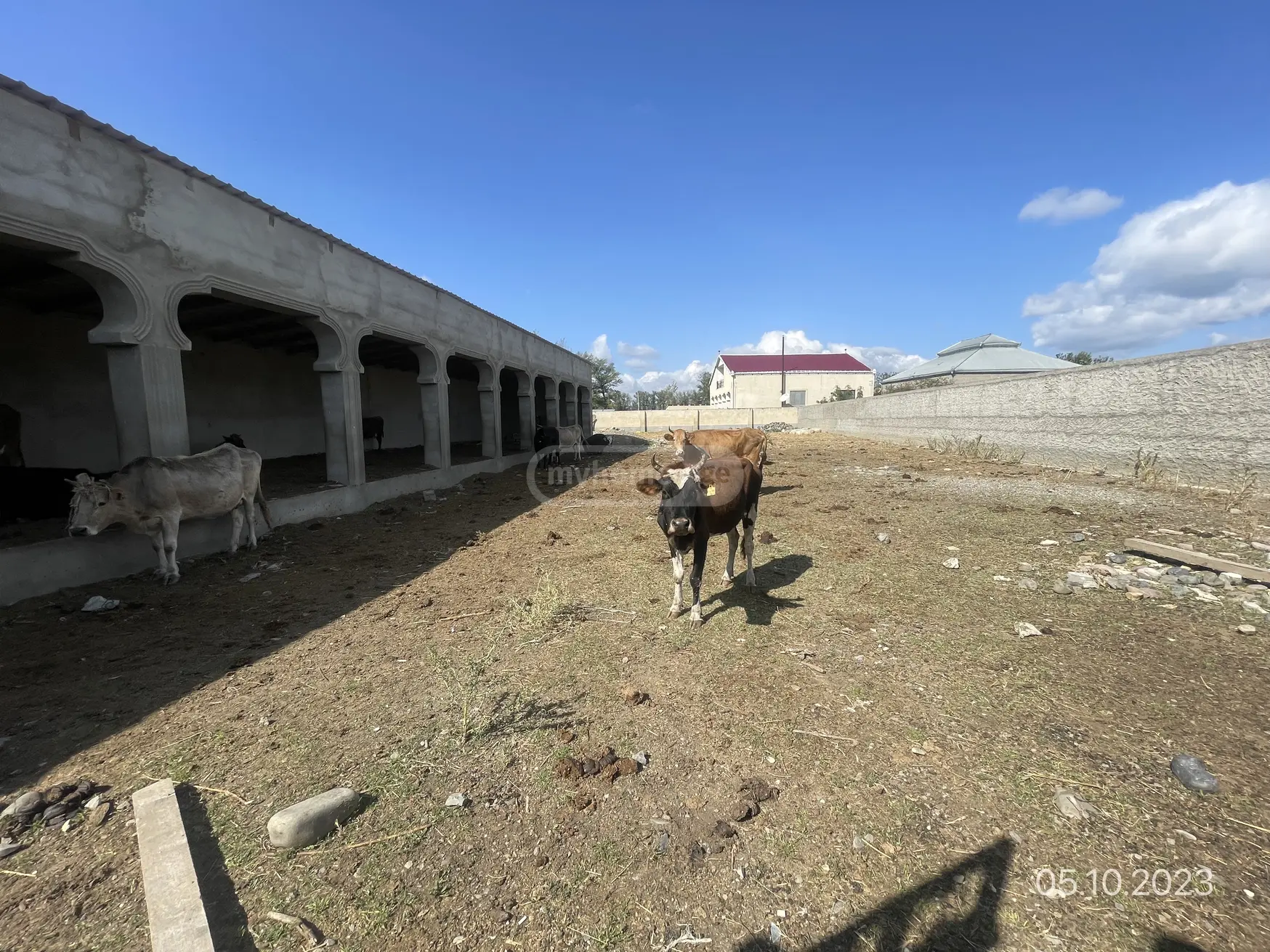 For Sale Satsarmoo Commercial Space Kaspshi view 4