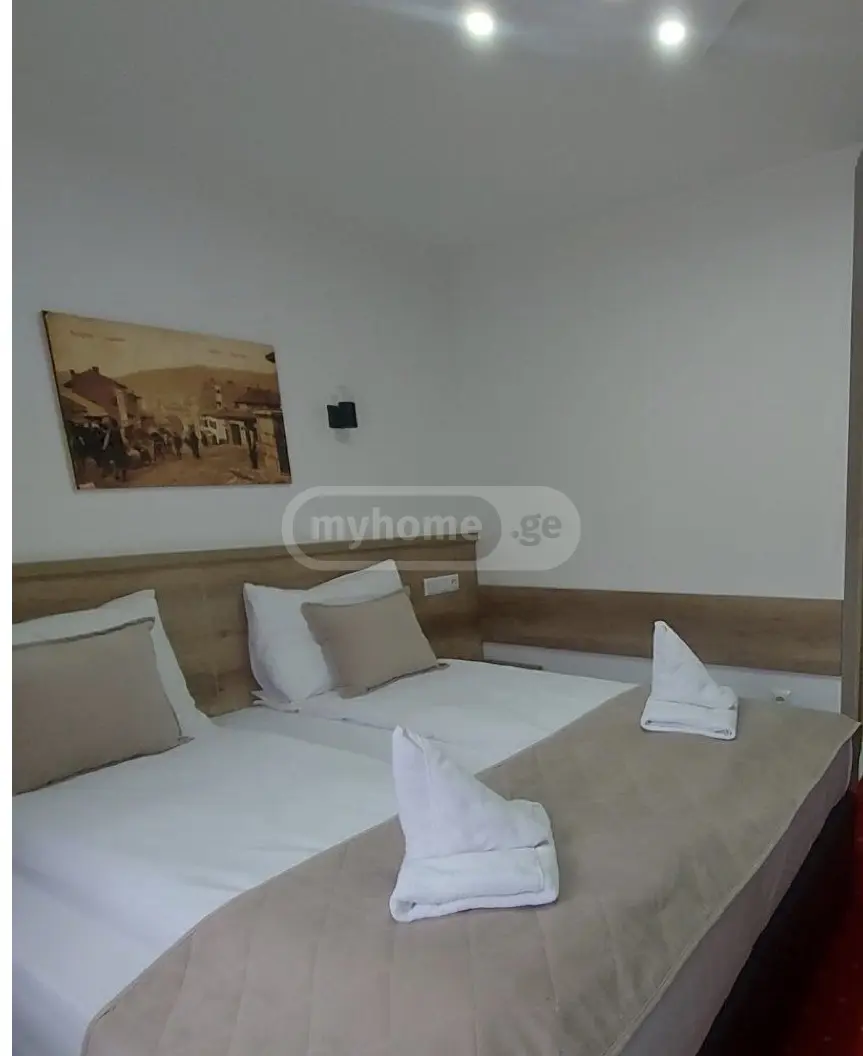Daily Rent 10+ Room Sastumro Kobuletshi, 5 of 7