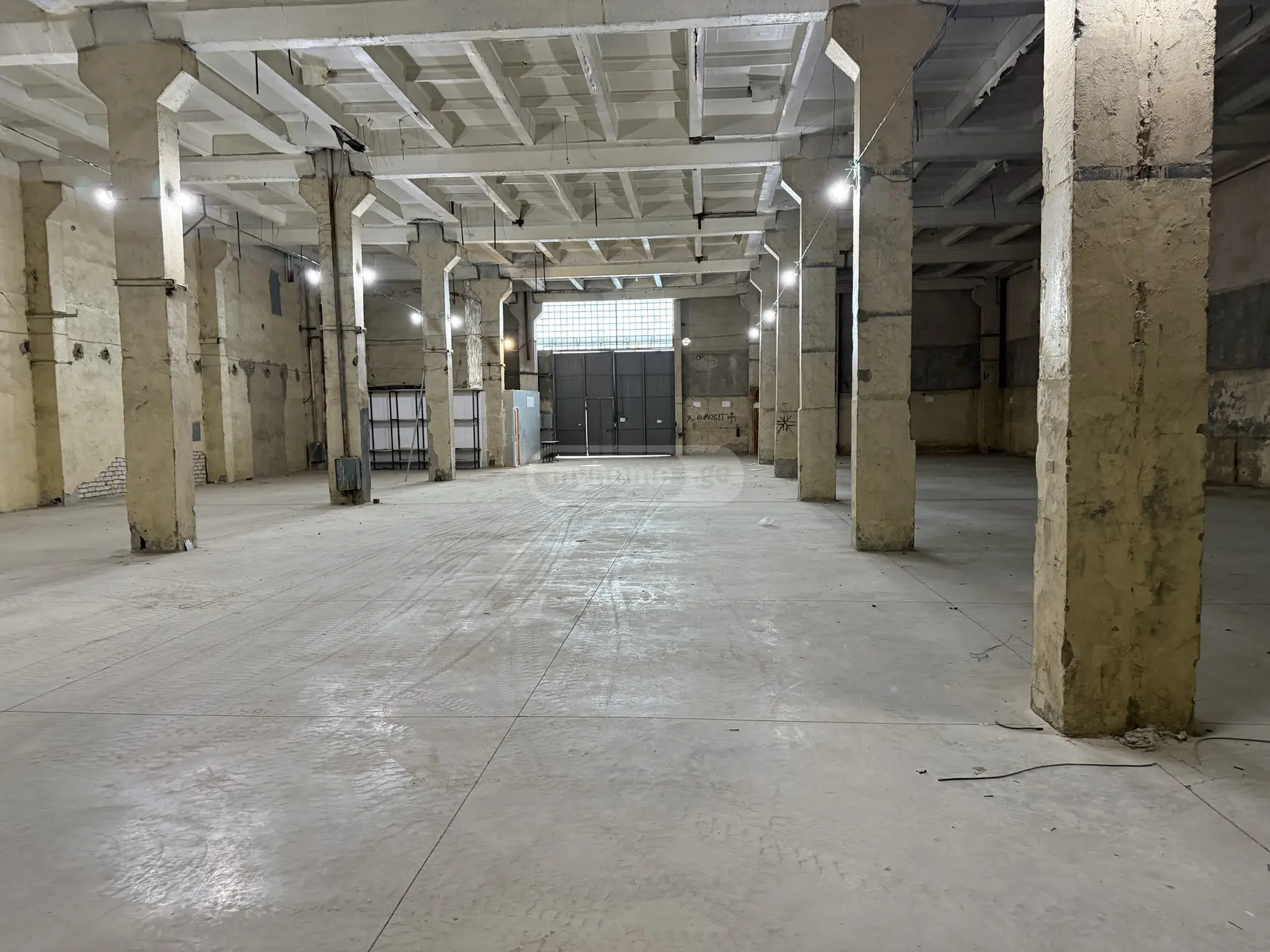 For Rent Sasatsqobe Commercial Space San. Zonashi view 2
