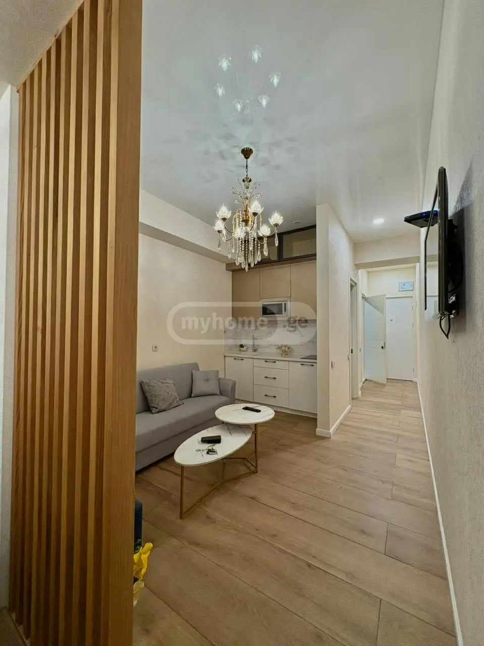 Daily Rent 1 Room Apartment Nadzaladevshi, 1 of 5