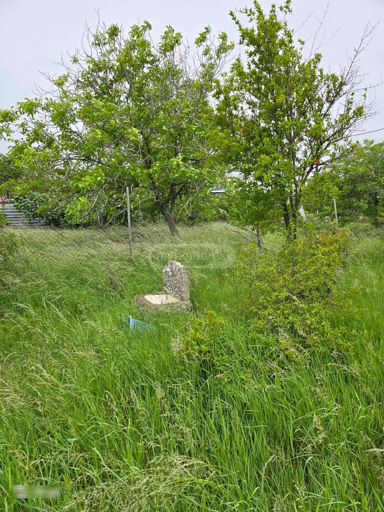 For Sale Sasoplo-Sameurneo Land Plot Chughuretshi, 3 of 3