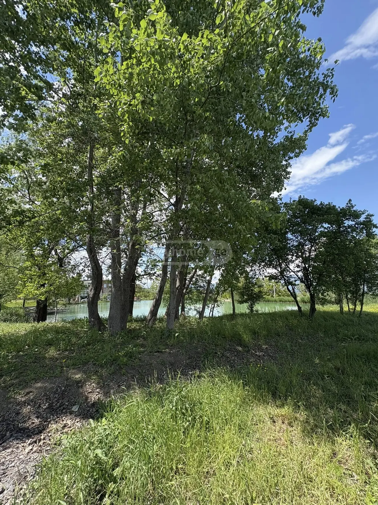 For Sale Ara Sasoplo-Sameurneo Land Plot Telavis Munitsipalitetshi view 6