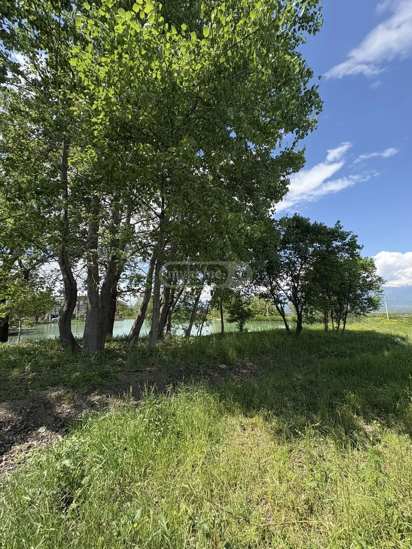 For Sale Ara Sasoplo-Sameurneo Land Plot Telavis Munitsipalitetshi view 7