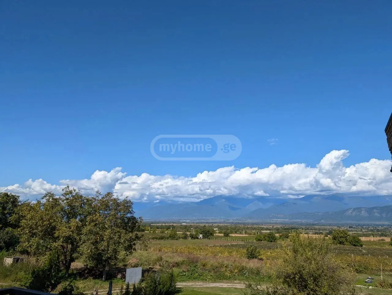 For Sale Ara Sasoplo-Sameurneo Land Plot Telavis Munitsipalitetshi view 1