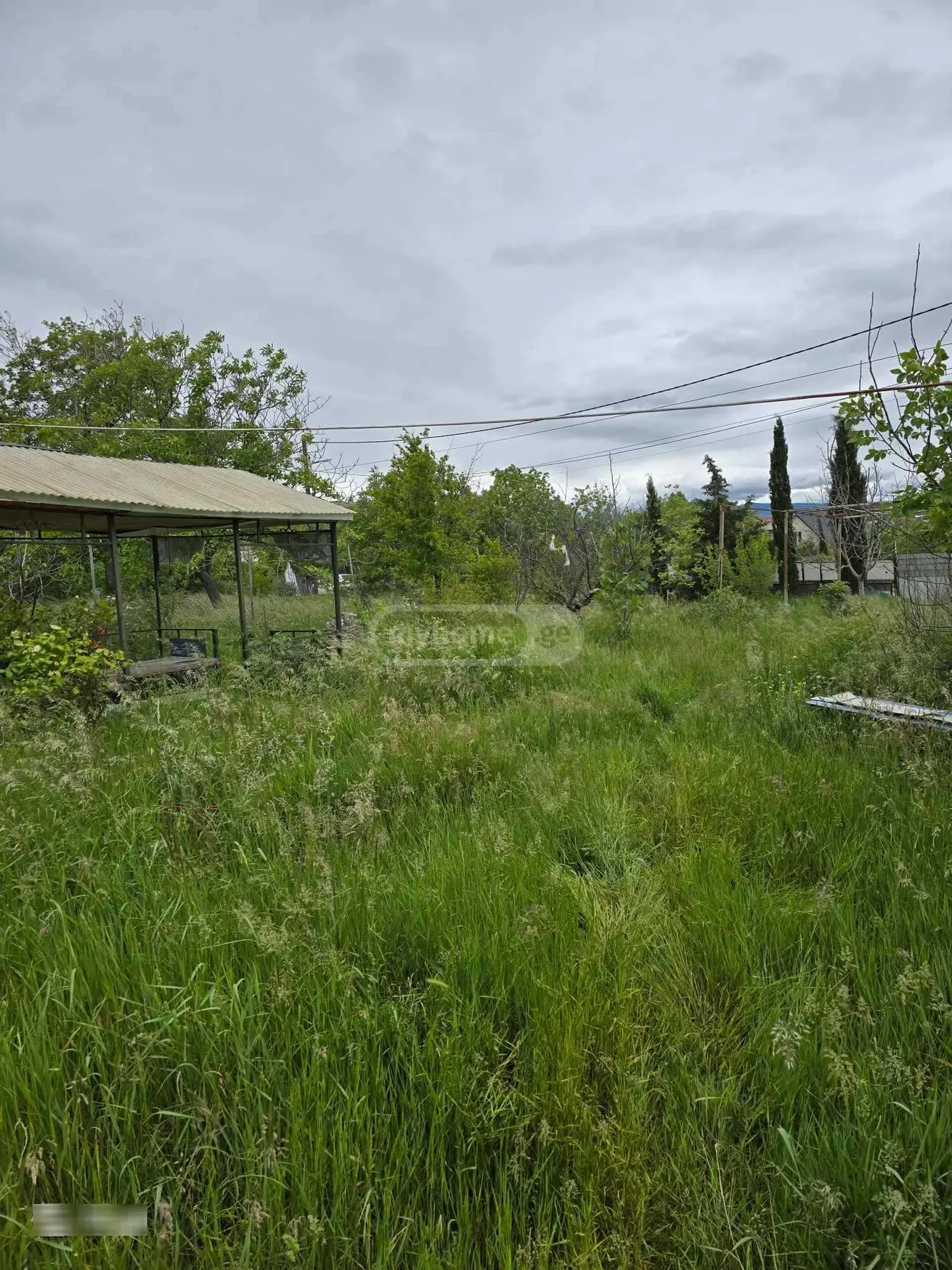 For Sale Sasoplo-Sameurneo Land Plot Chughuretshi, 2 of 3