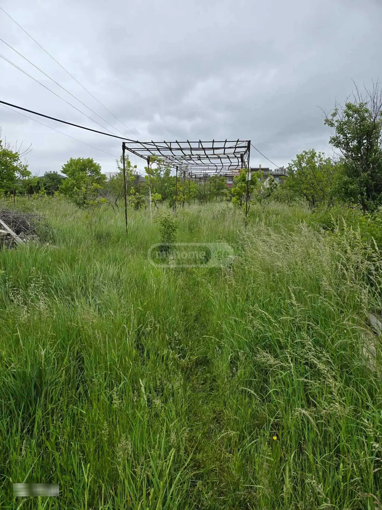 For Sale Sasoplo-Sameurneo Land Plot Chughuretshi, 2 of 4