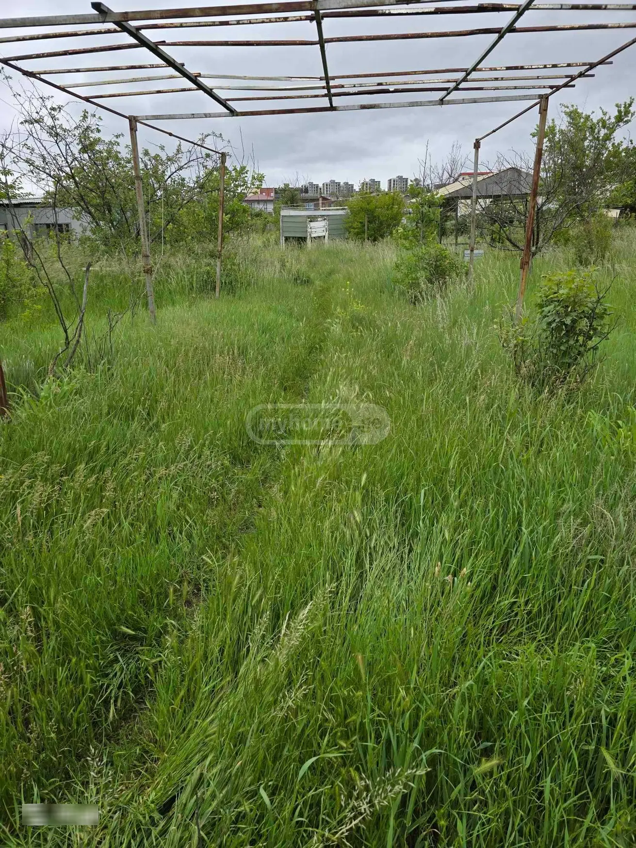 For Sale Sasoplo-Sameurneo Land Plot Chughuretshi, 1 of 4