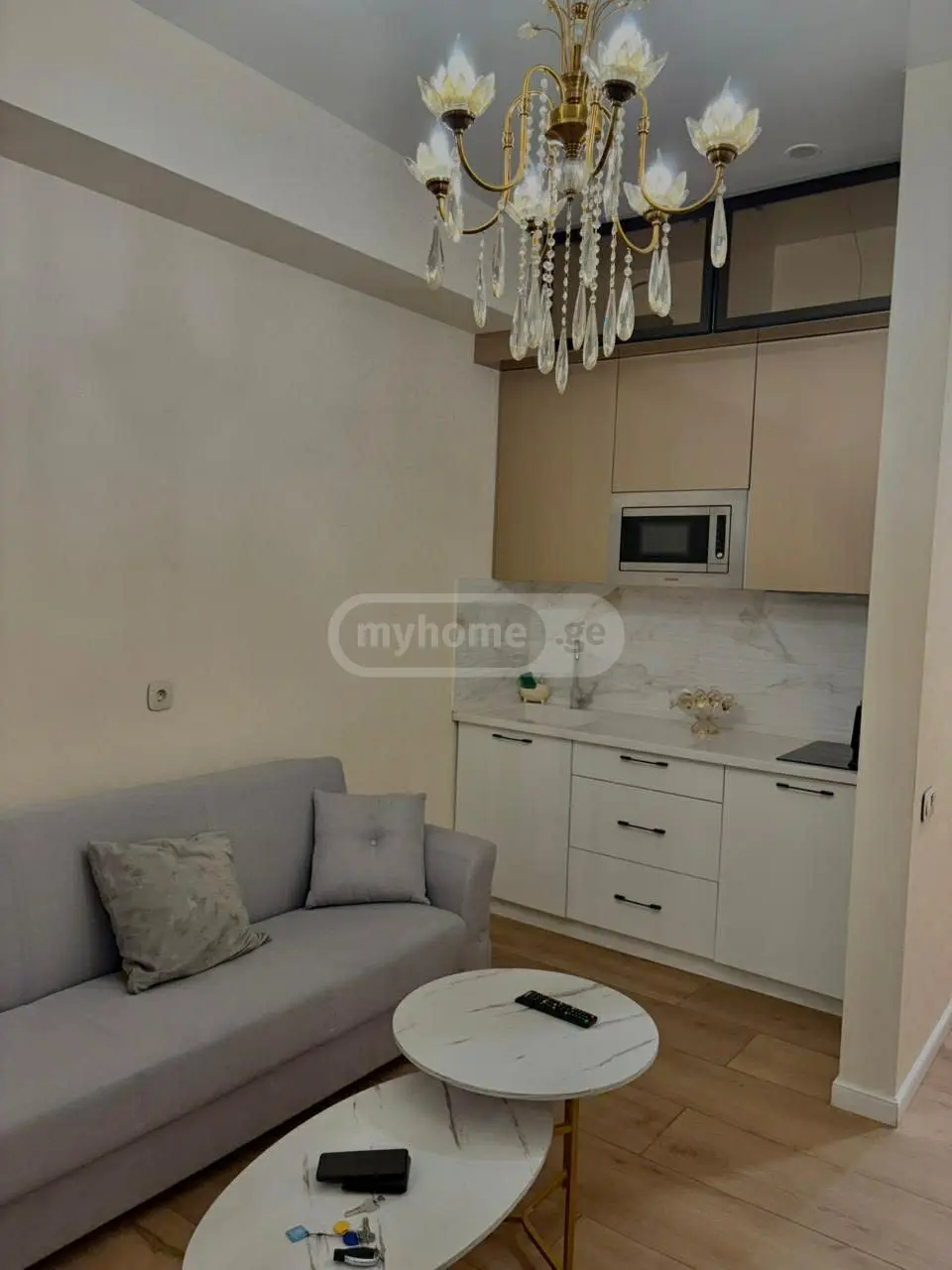 Daily Rent 1 Room Apartment Nadzaladevshi, 2 of 5