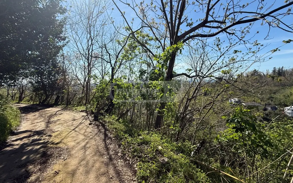 For Sale Sasoplo-Sameurneo Land Plot In Batumi view 8