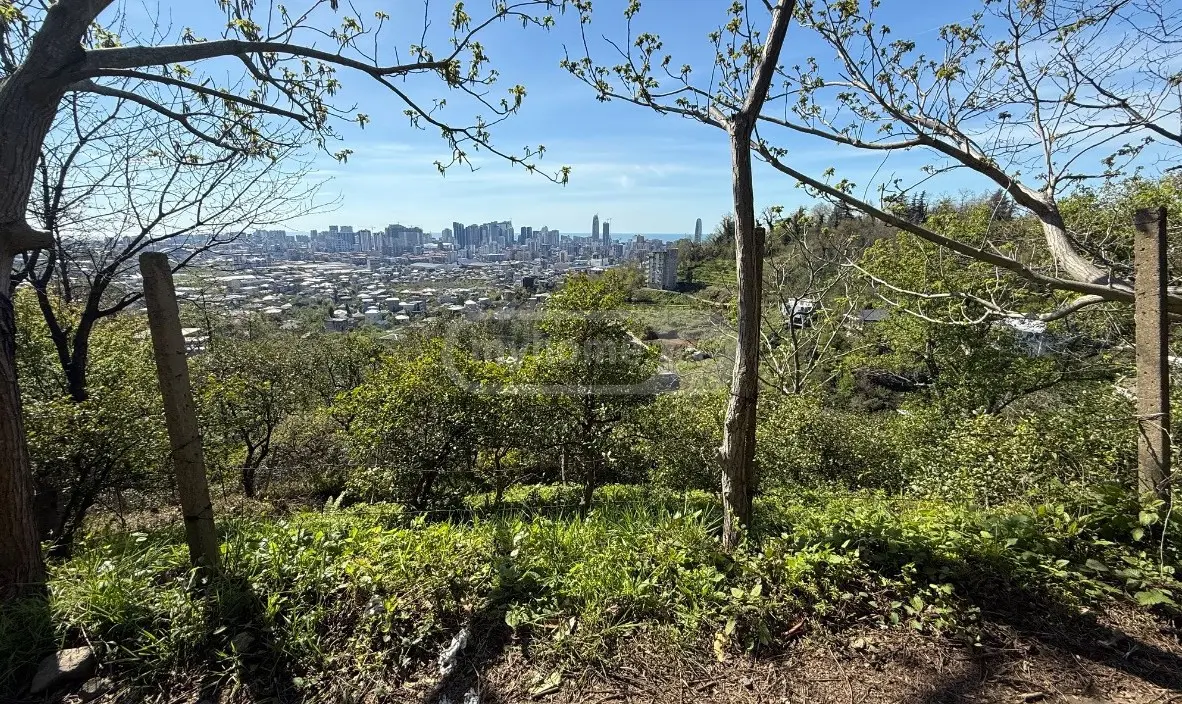 For Sale Sasoplo-Sameurneo Land Plot In Batumi view 6