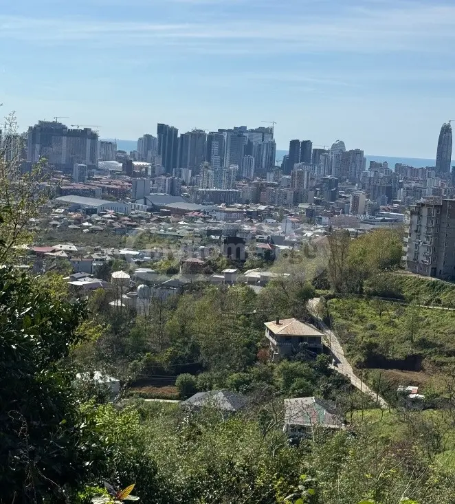 For Sale Sasoplo-Sameurneo Land Plot In Batumi view 4