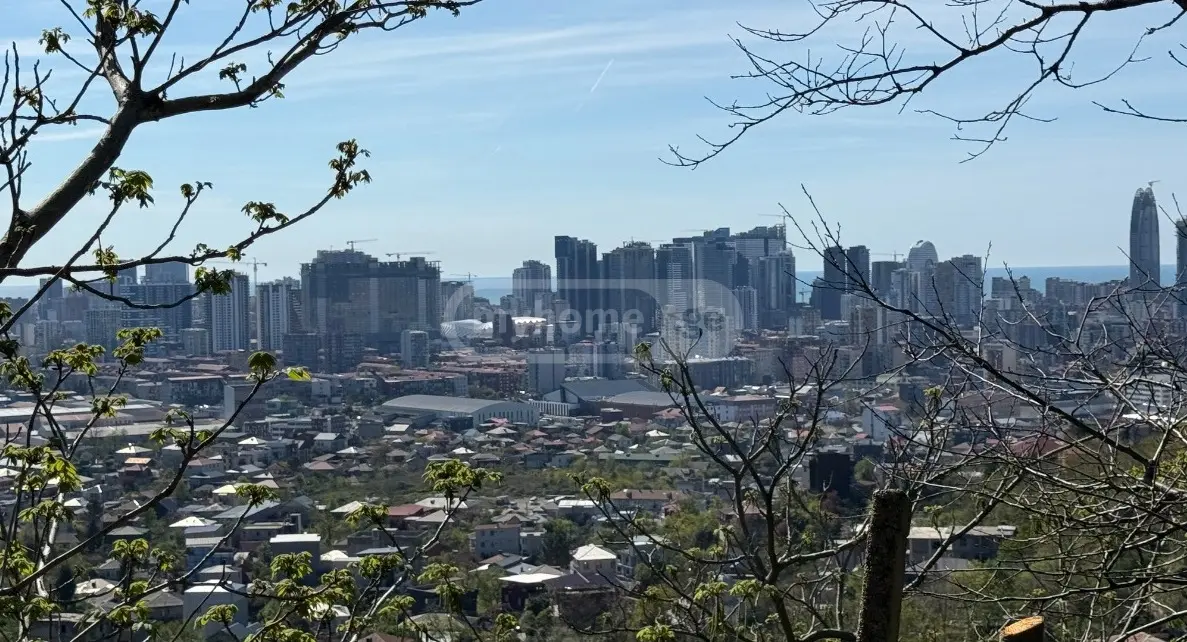 For Sale Sasoplo-Sameurneo Land Plot In Batumi view 1