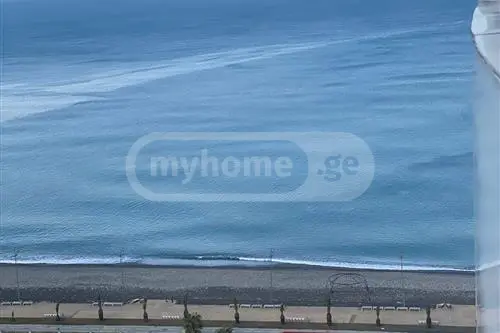 დღიური ქირა 1-ოთახი Sastumro view 2