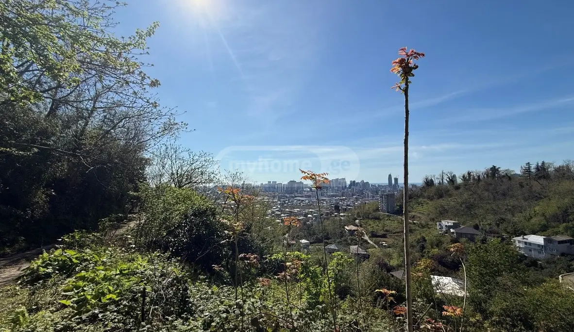 For Sale Sasoplo-Sameurneo Land Plot In Batumi view 3