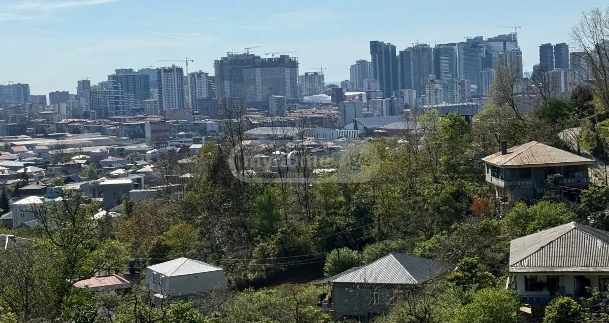 For Sale Sasoplo-Sameurneo Land Plot In Batumi view 7