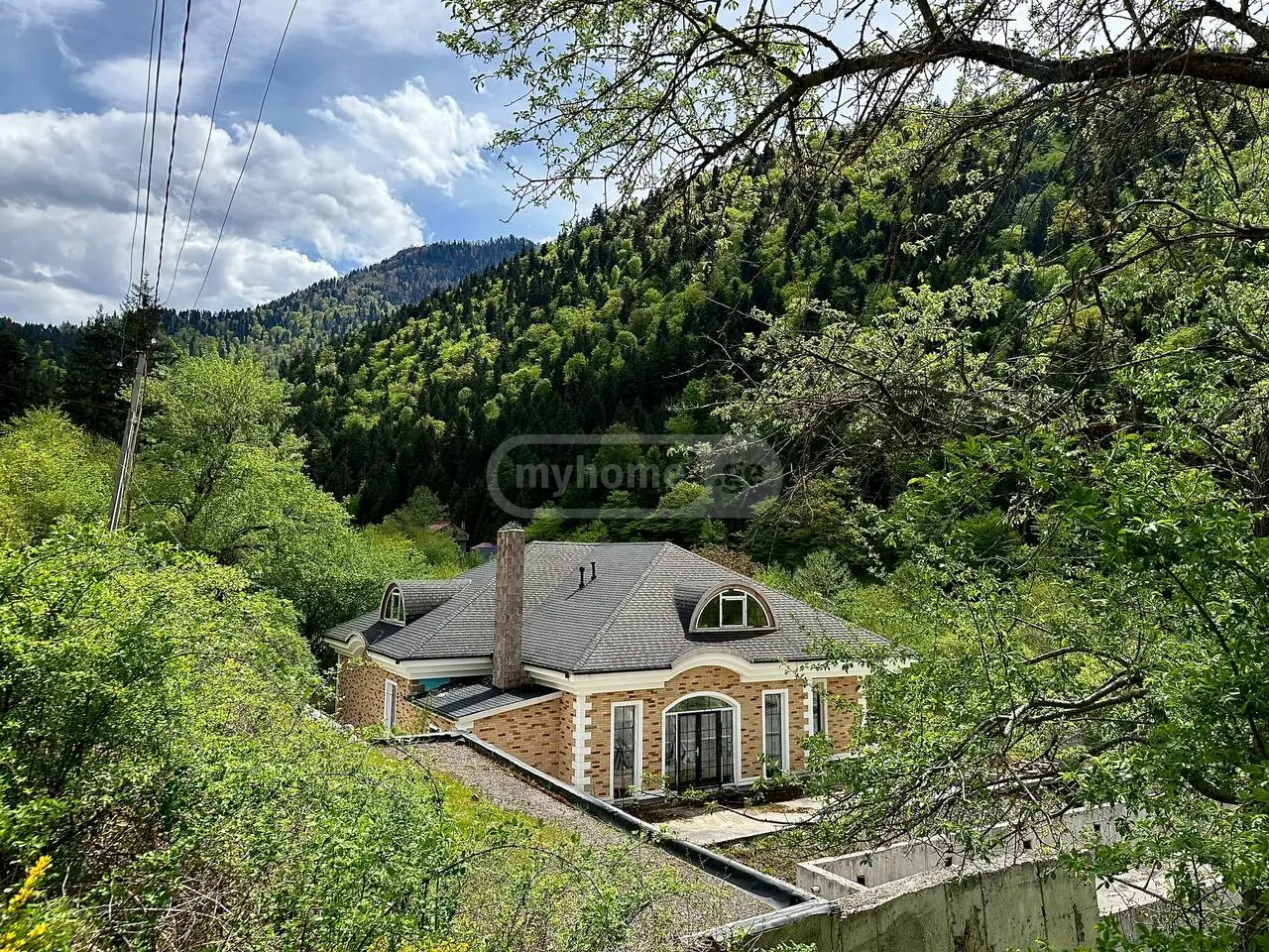 For Sale 8 Room Private House Borjomis Munitsipalitetshi view 2