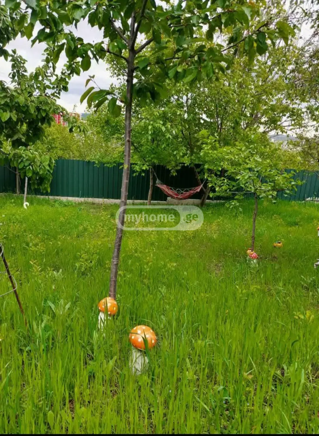 Daily Rent 2 Room Country House Mukhianshi view 16