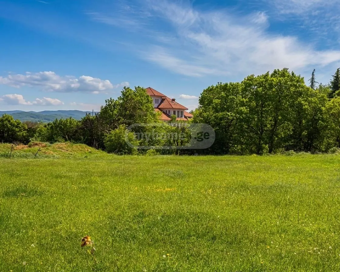 For Sale Sasoplo-Sameurneo Land Plot Tsavkisshi, 4 of 8