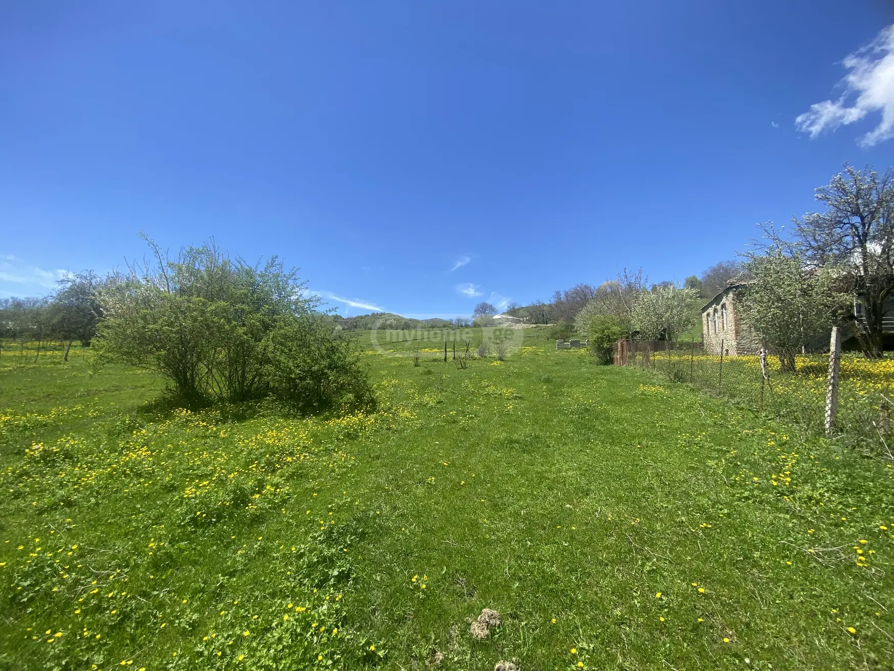 For Sale Sasoplo-Sameurneo Land Plot Telavis Munitsipalitetshi view 2