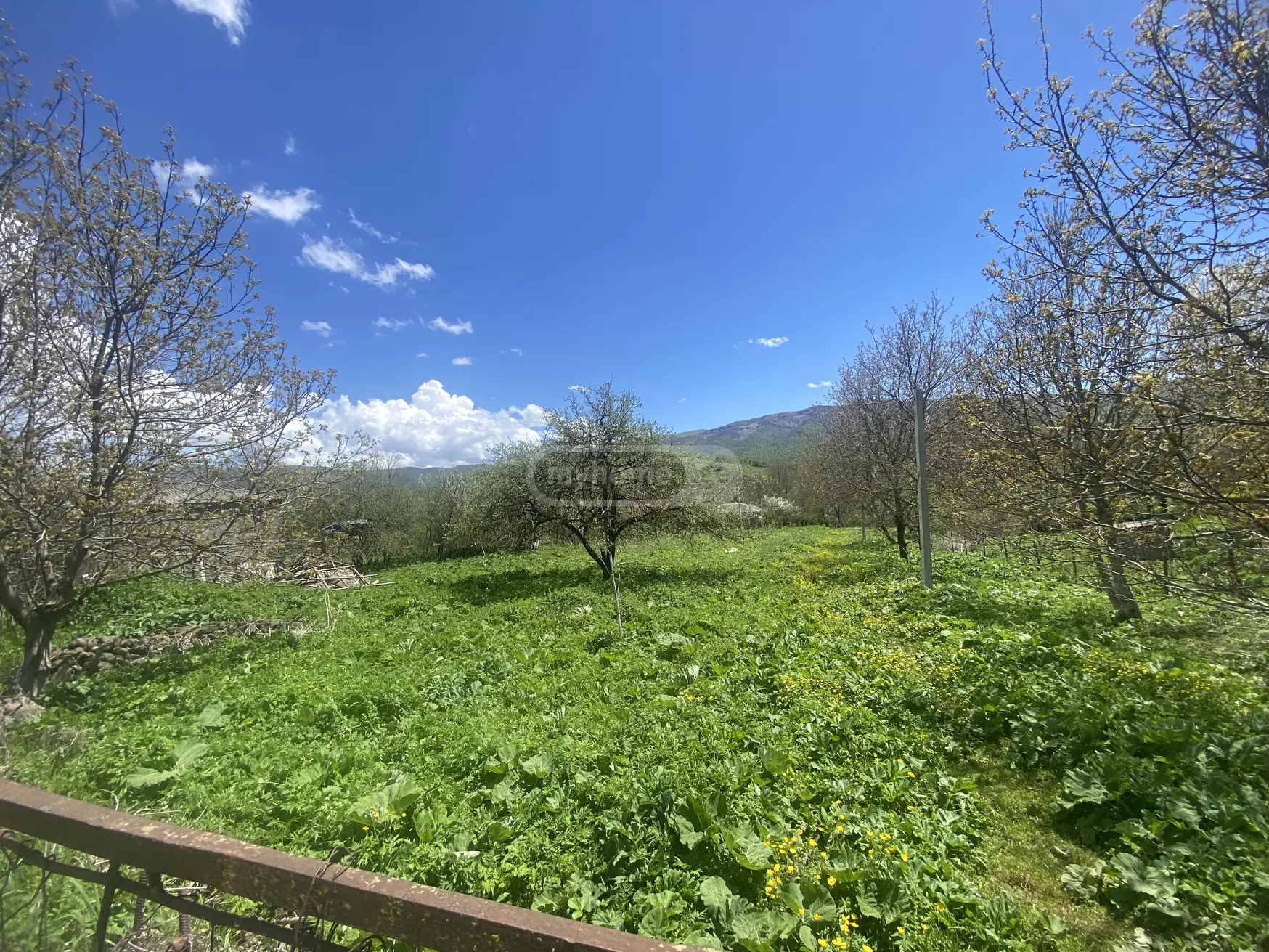 For Sale Sasoplo-Sameurneo Land Plot Telavis Munitsipalitetshi view 1