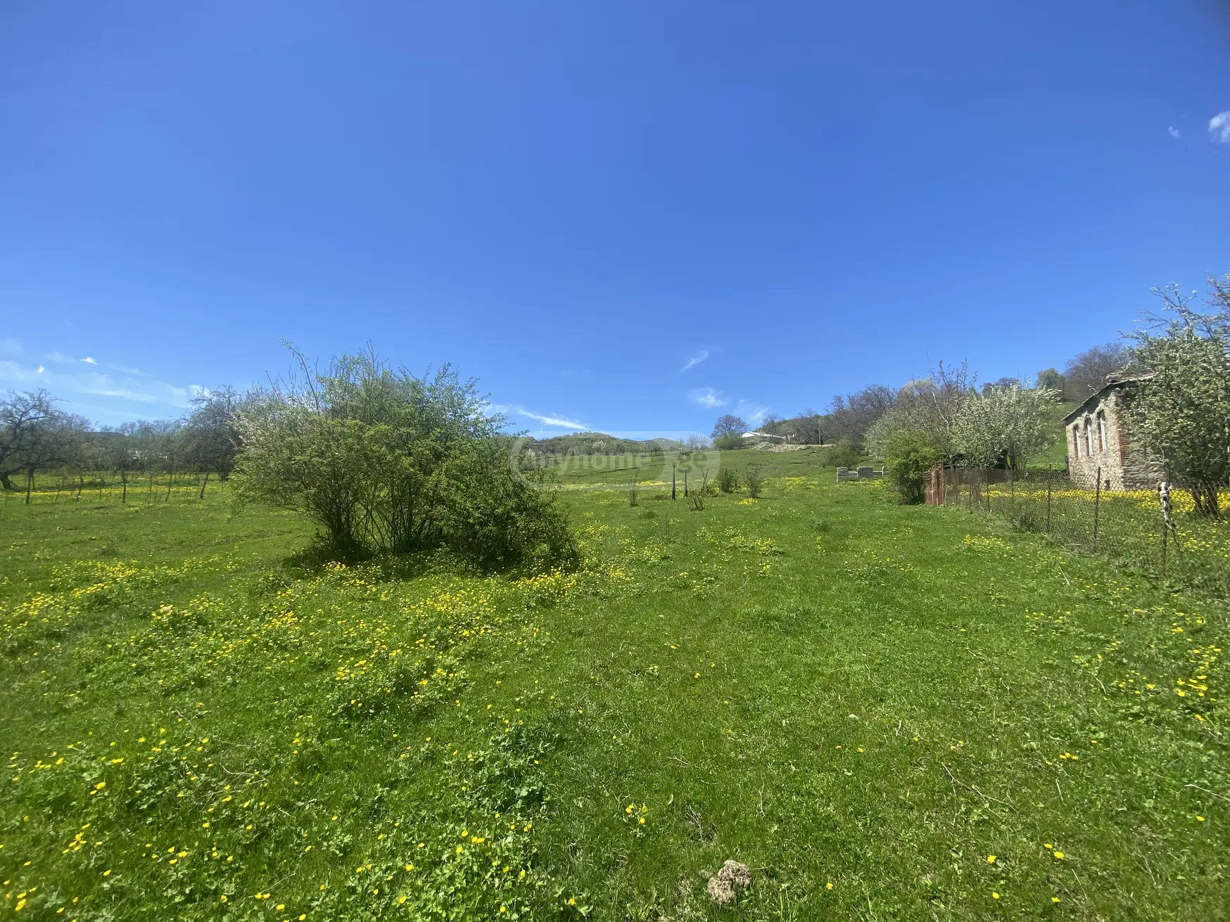 For Sale Sasoplo-Sameurneo Land Plot Telavis Munitsipalitetshi view 3