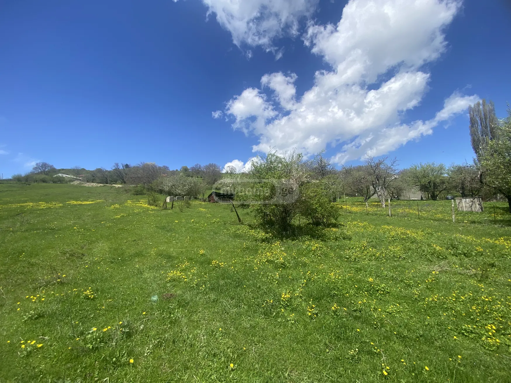 For Sale Sasoplo-Sameurneo Land Plot Telavis Munitsipalitetshi view 1