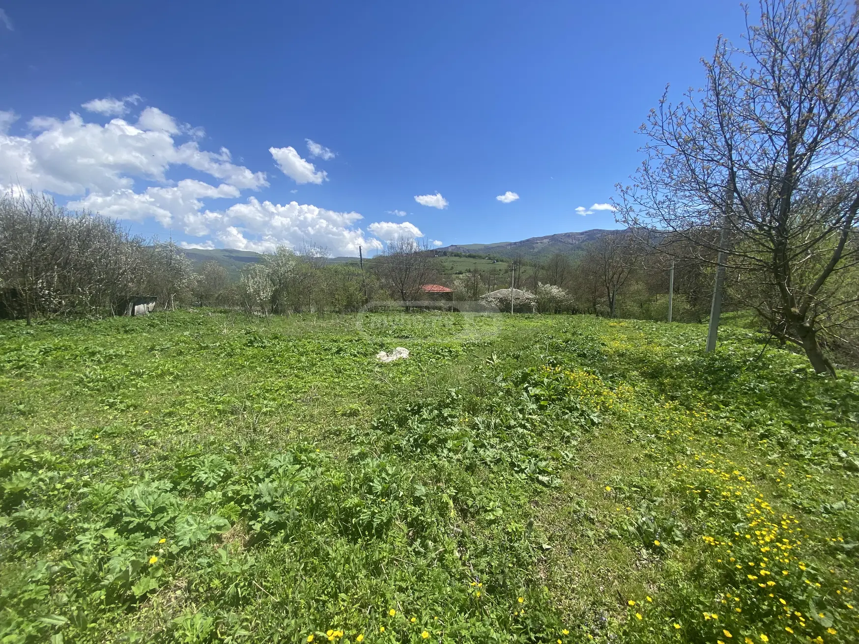 For Sale Sasoplo-Sameurneo Land Plot Telavis Munitsipalitetshi view 9