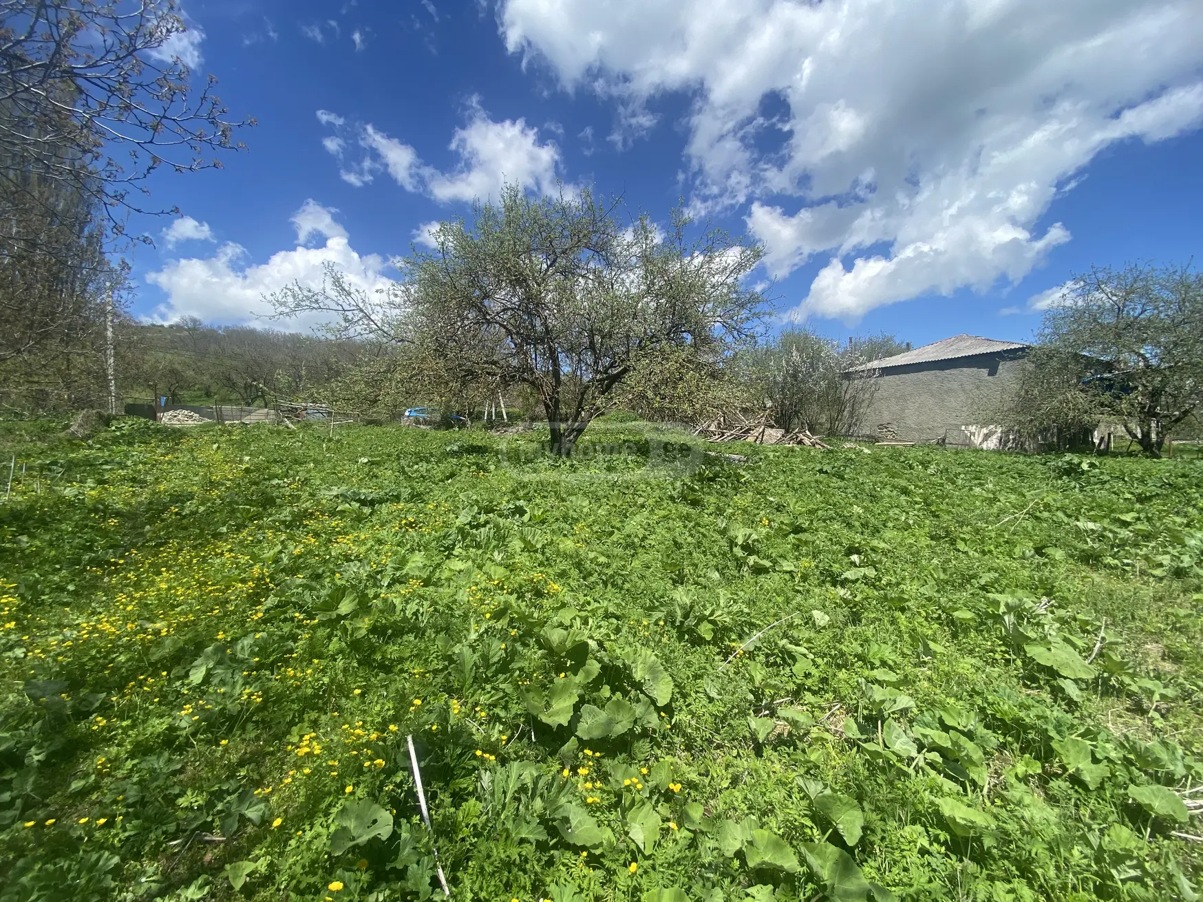 For Sale Sasoplo-Sameurneo Land Plot Telavis Munitsipalitetshi view 8