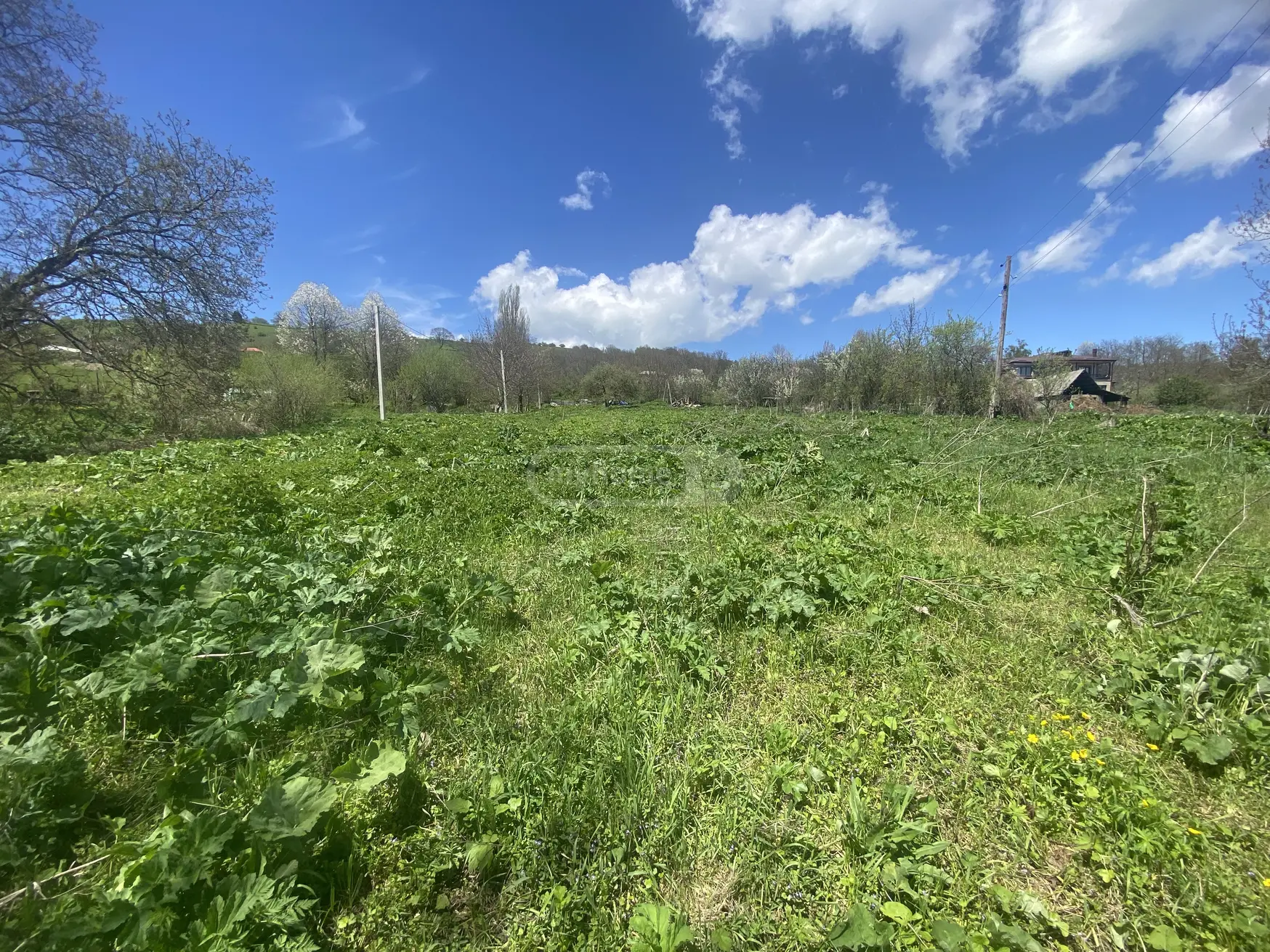 For Sale Sasoplo-Sameurneo Land Plot Telavis Munitsipalitetshi view 6