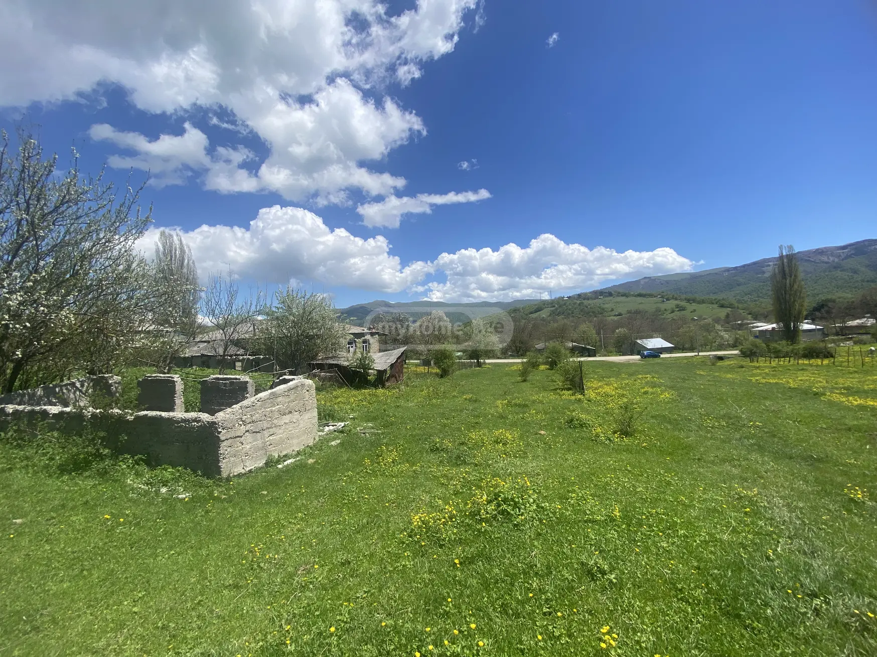 For Sale Sasoplo-Sameurneo Land Plot Telavis Munitsipalitetshi view 4