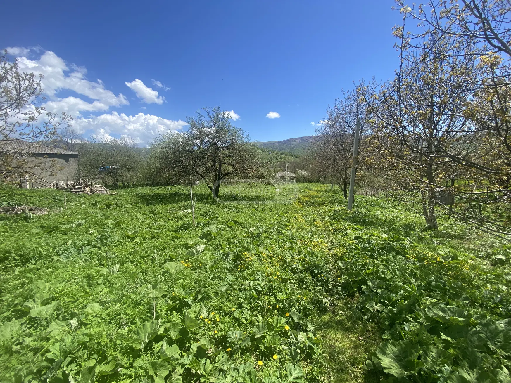 For Sale Sasoplo-Sameurneo Land Plot Telavis Munitsipalitetshi view 7