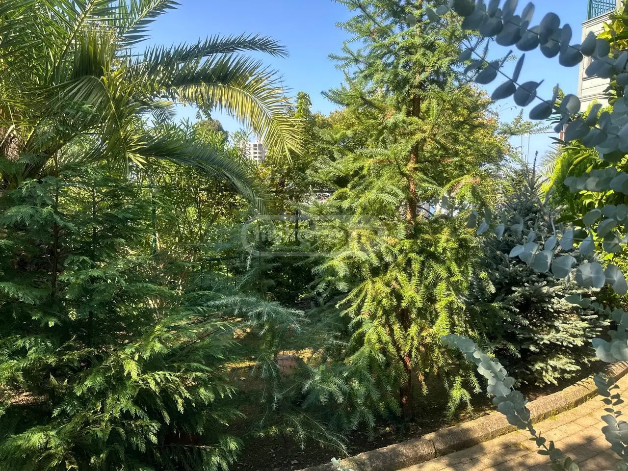 For Sale 5 Room Private House view 2