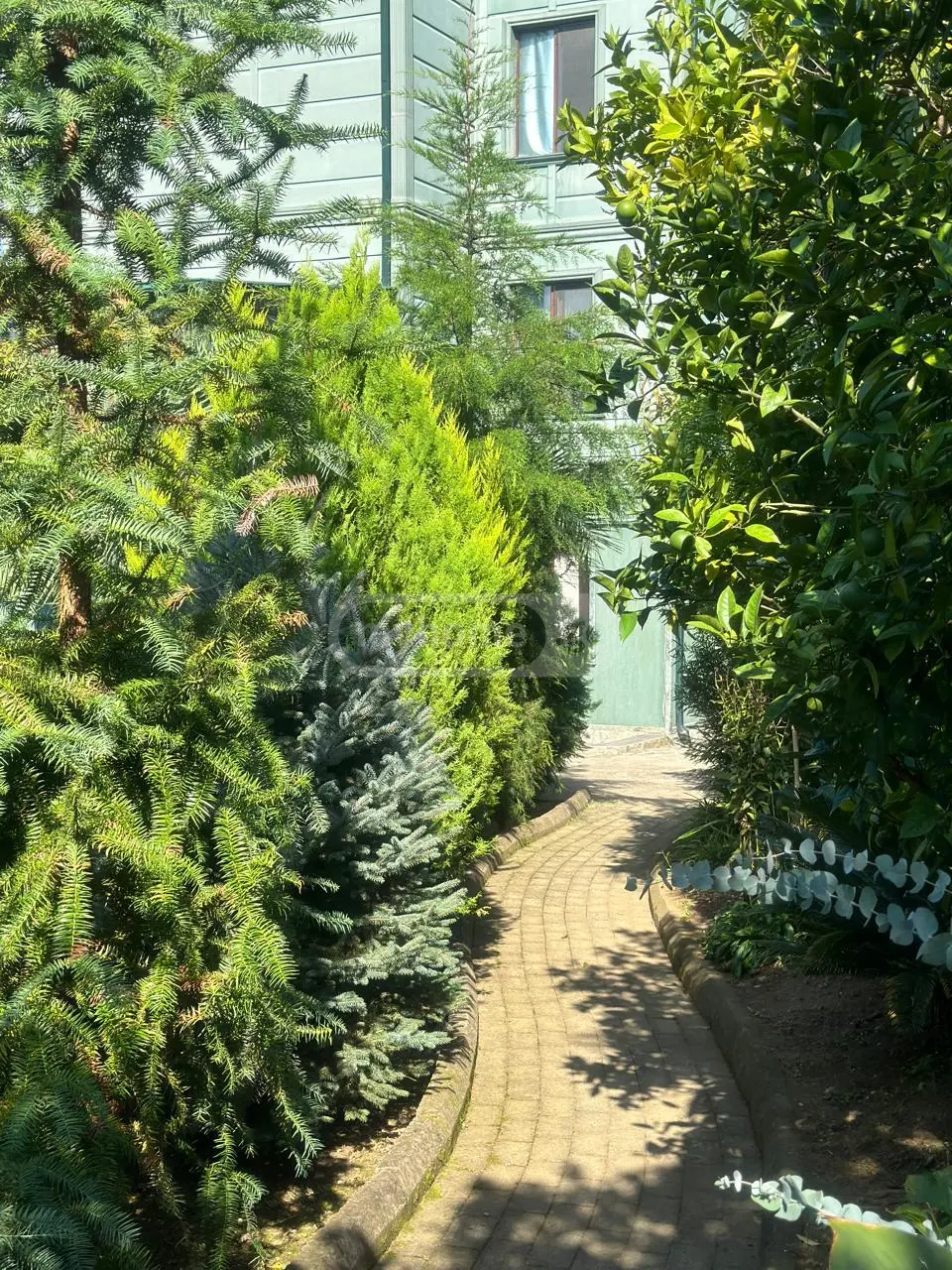 For Sale 5 Room Private House view 14
