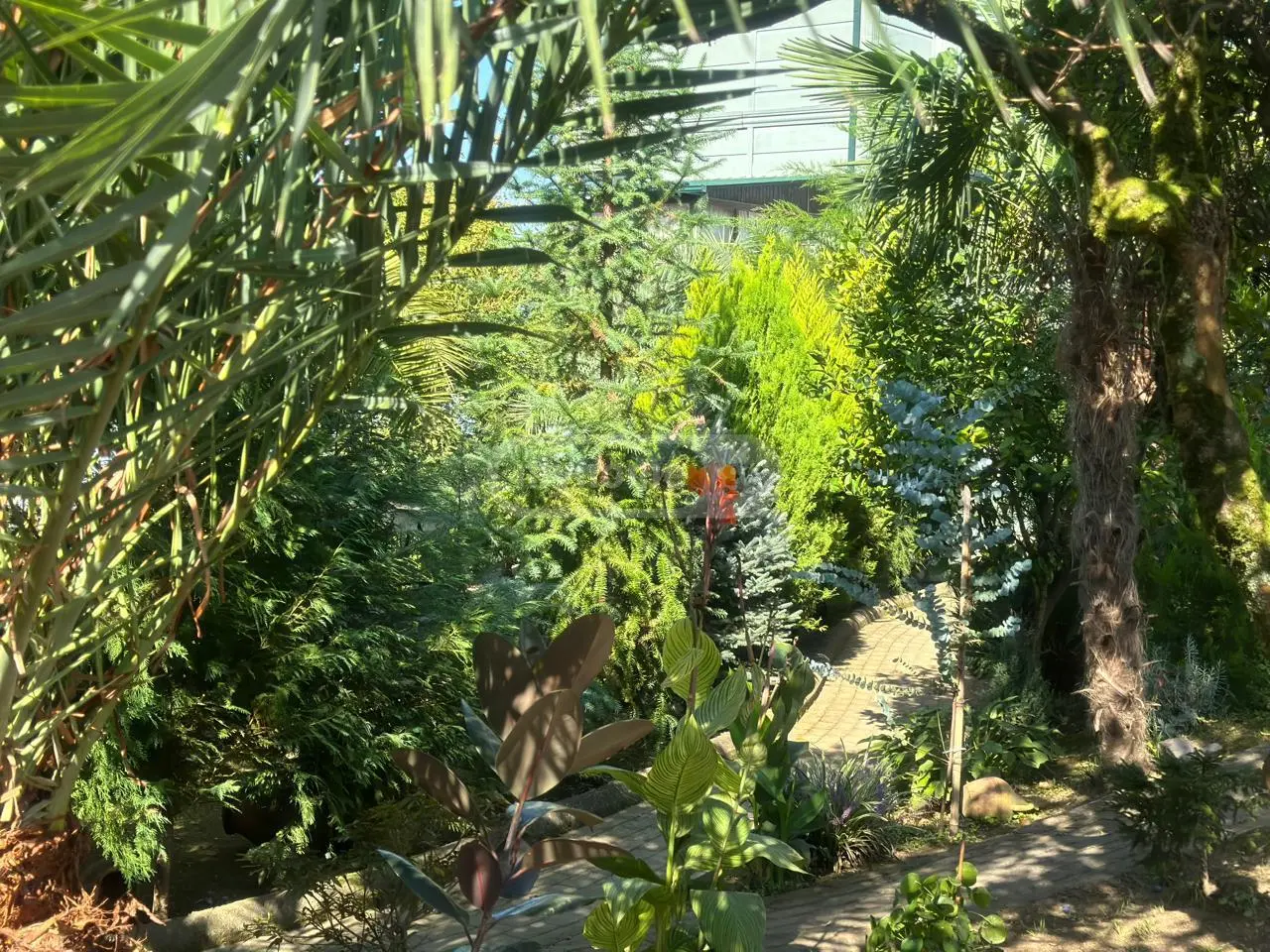 For Sale 5 Room Private House view 12