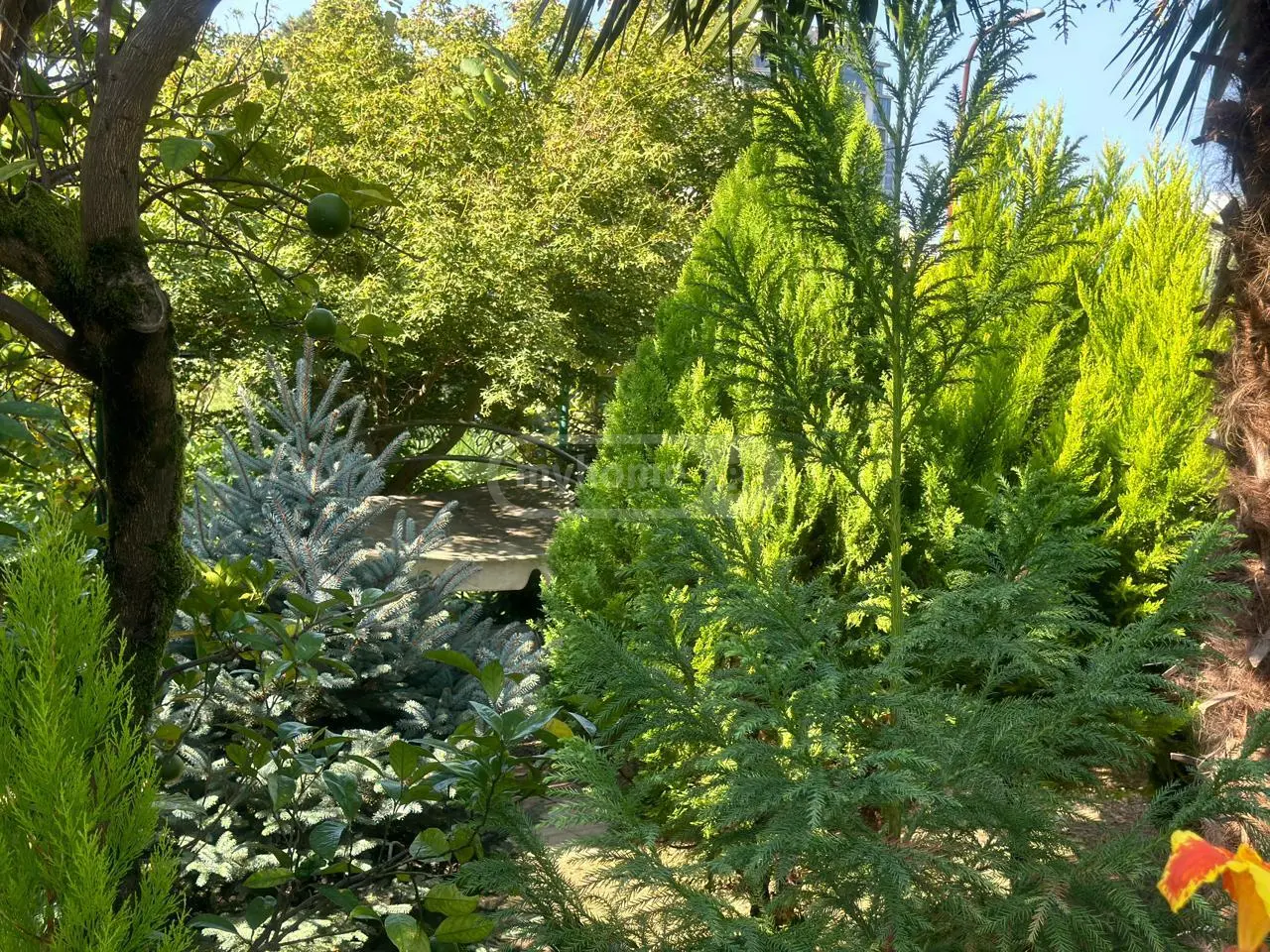 For Sale 5 Room Private House view 4