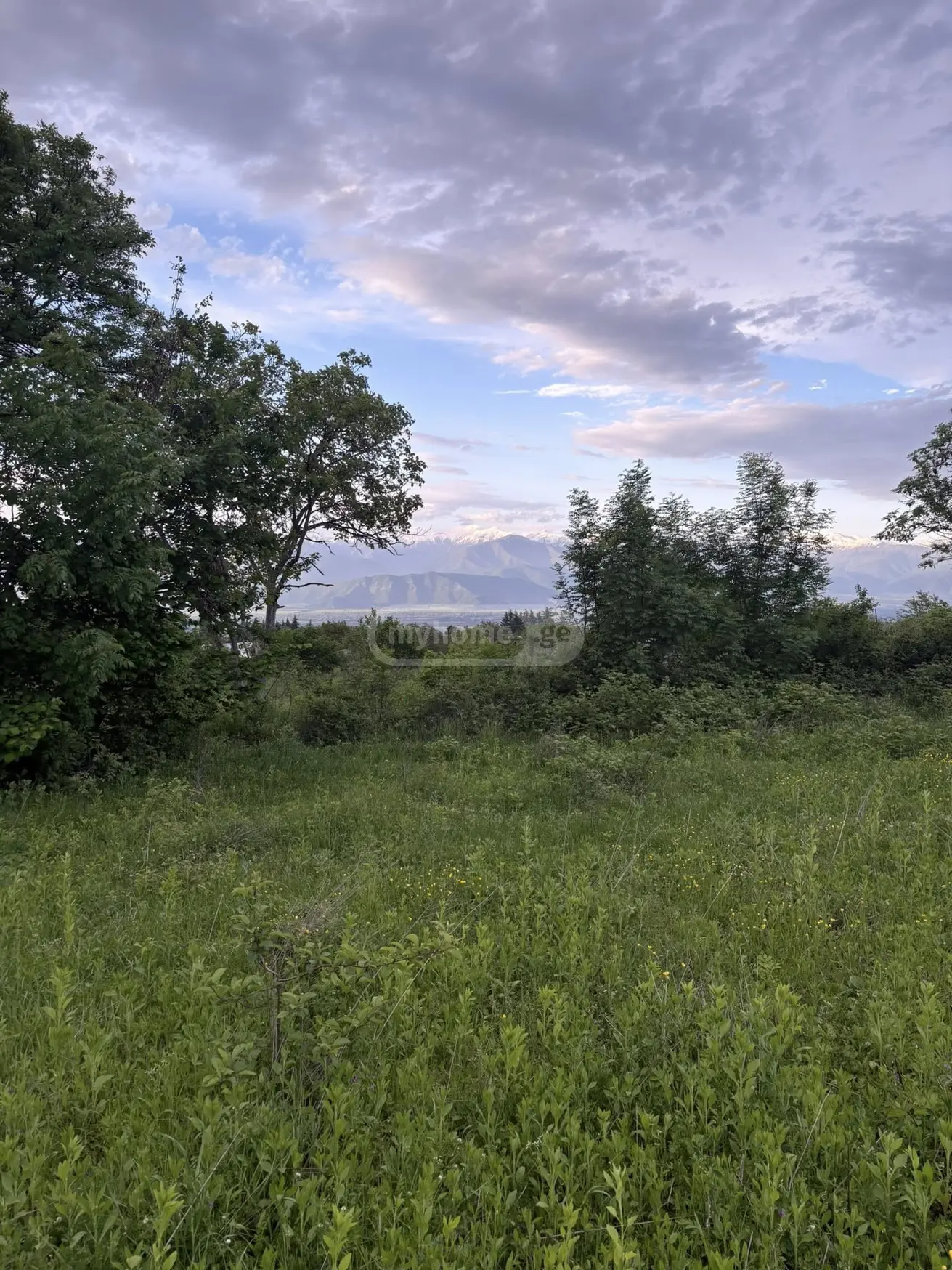 Продажа Земля / участок в Telavis Munitsipalitetshi view 9