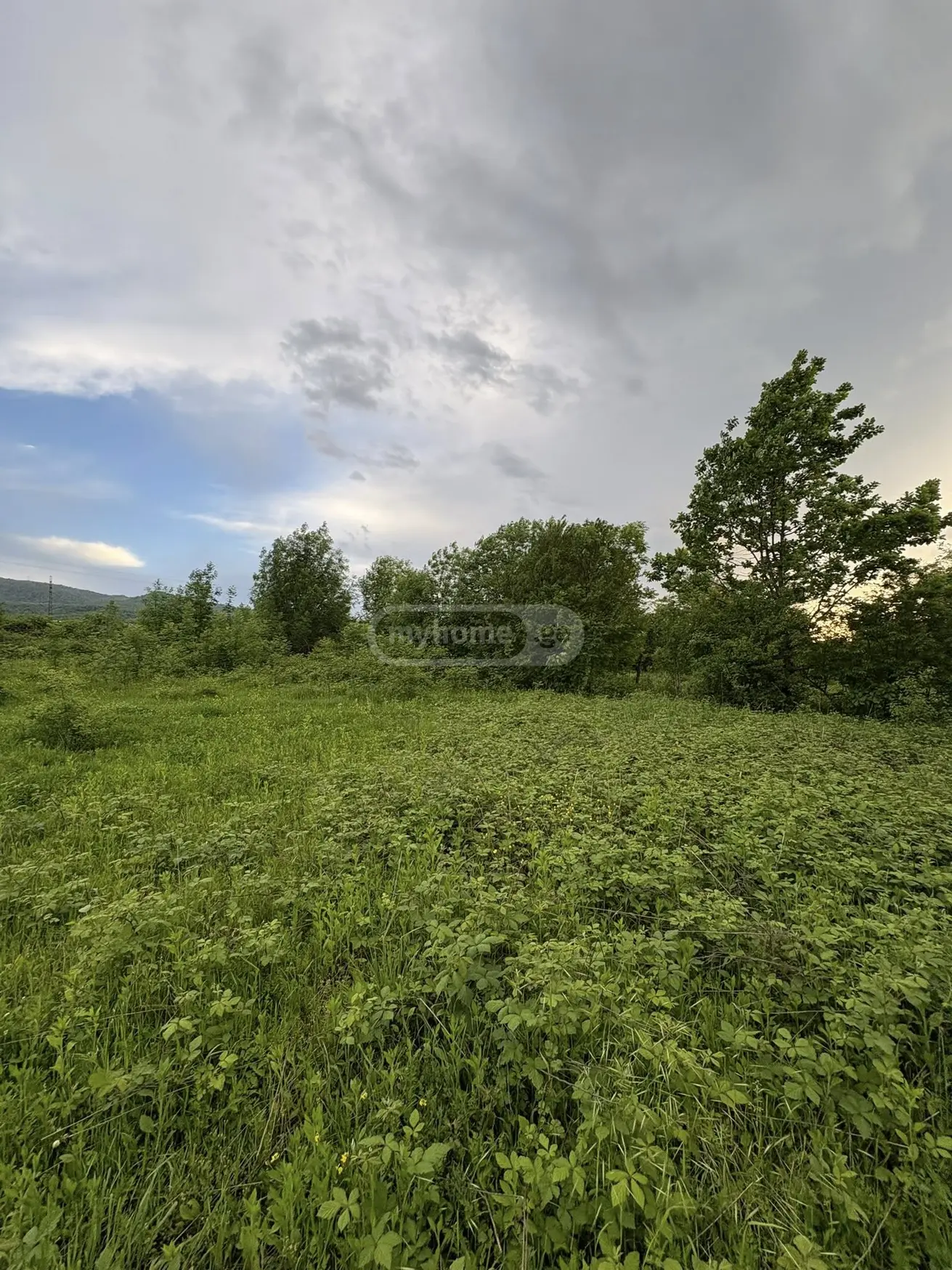Продажа Земля / участок в Telavis Munitsipalitetshi view 6