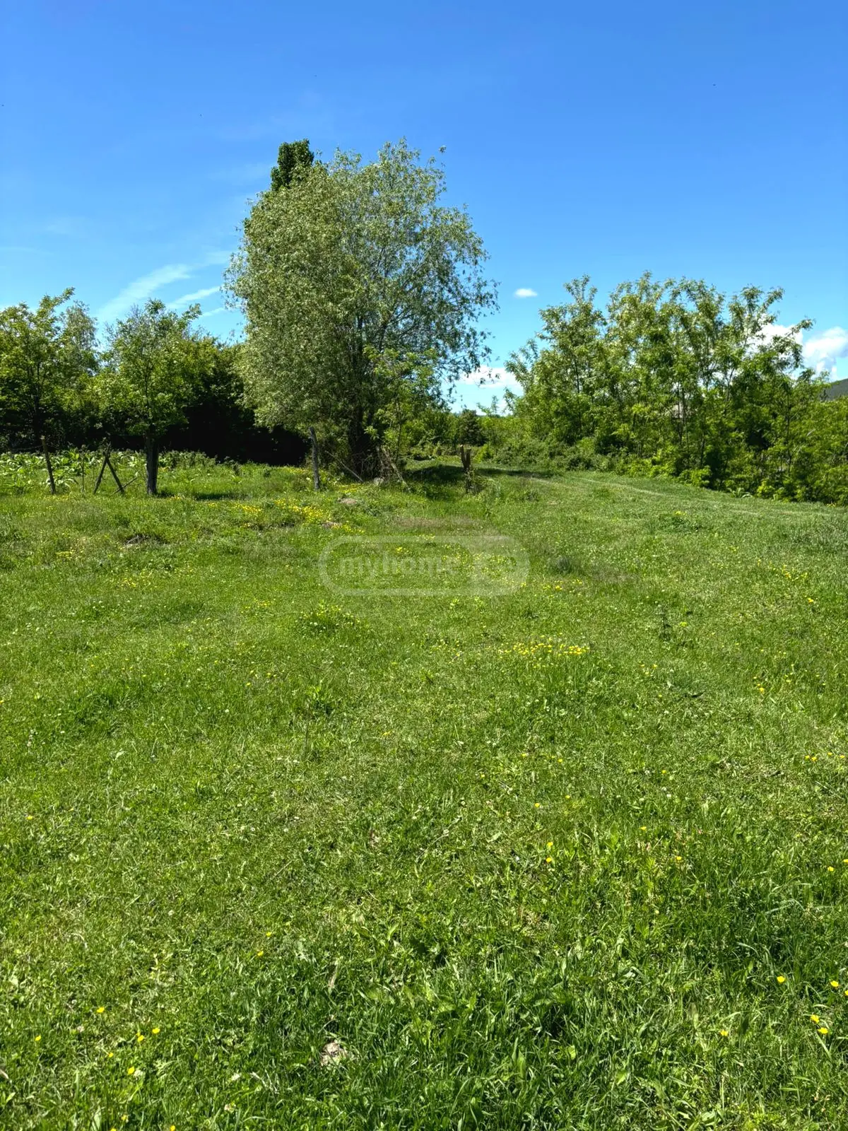 For Sale Sasoplo-Sameurneo Land Plot Mtskhetis Munitsipalitetshi view 2