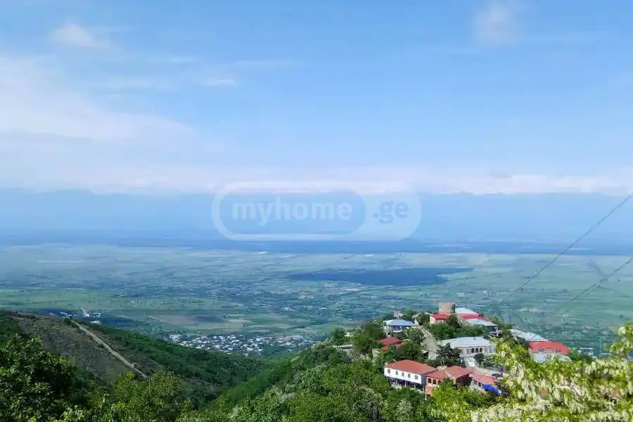For Sale Sasoplo-Sameurneo Land Plot Sighnaghshi view 1