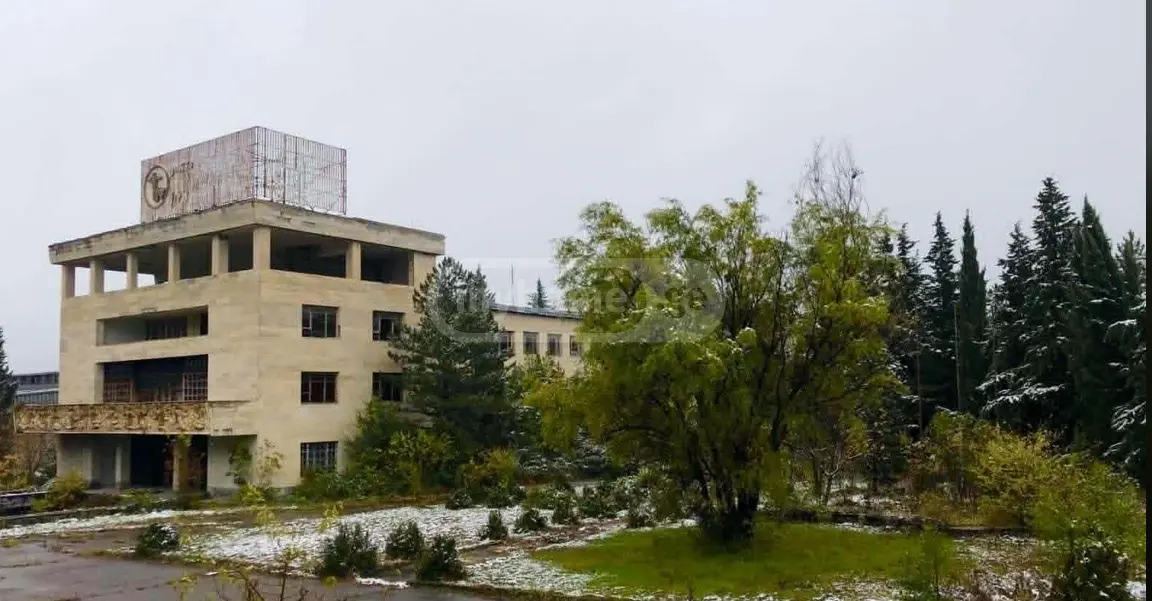 For Sale Satsarmoo Commercial Space Sagarejoshi view 1